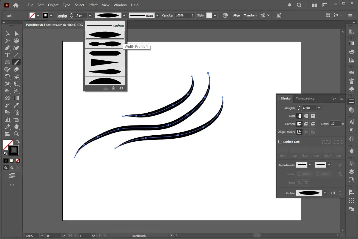 paintbrush tool in illustrator 2501280700121881